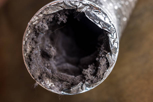  Union Park, FL Airduct Cleaning Pros
